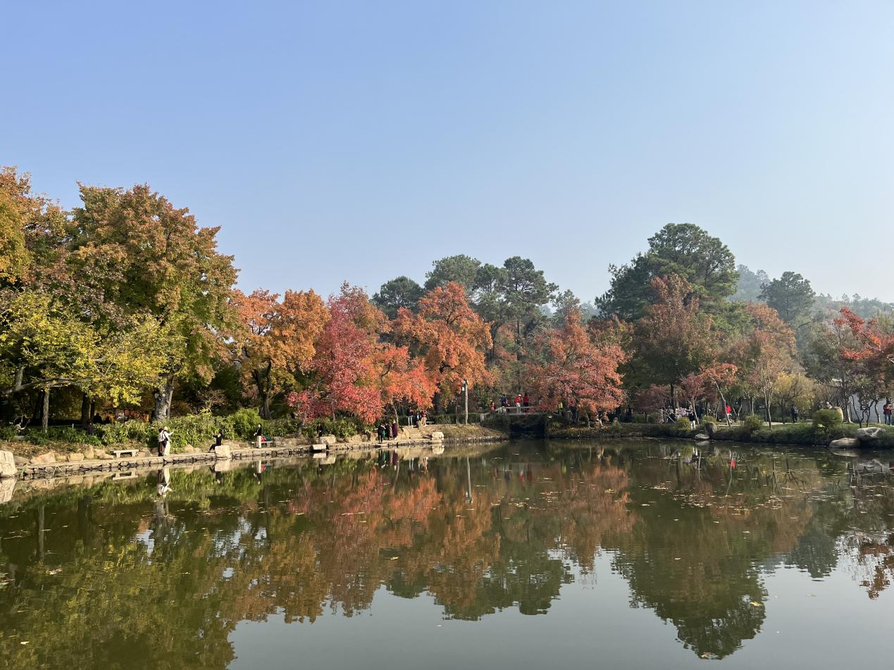 1669807888849389.png 圖片2.png